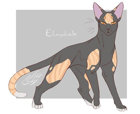 Warrior Cats Oc Art