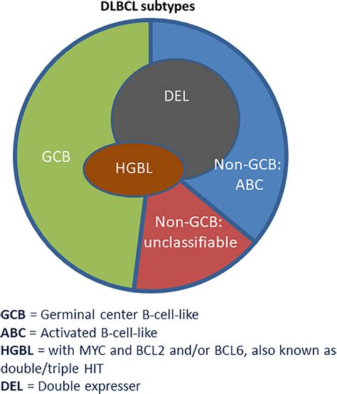 Overlap of DLBCL subtypes by COO and molecular features | Download ...