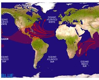 huracanes fuenteluna: ZONAS DE MAYOR RIESGO EN EL MUNDO.