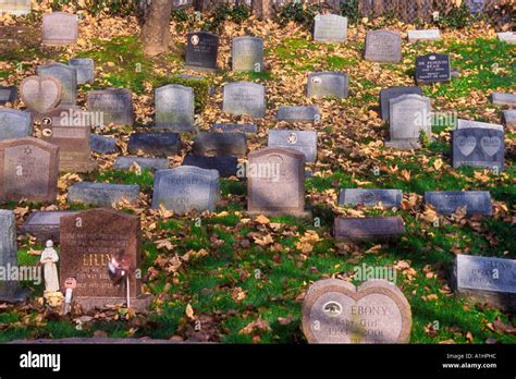 USA New York Westchester County Scarsdale Pet Cemetery Stock Photo - Alamy