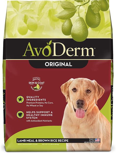 Best Dog Food For Skin Allergies: 2020 | Better dog