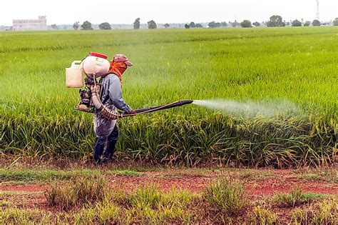 Top Pesticide Using Countries - WorldAtlas