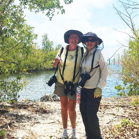 Florida volunteers see record numbers of endangered Schaus’ swallowtail ...