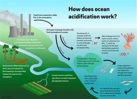 FAQ: Ocean Acidification | Scripps Institution of Oceanography