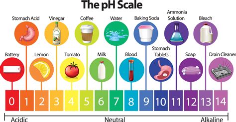 Signs & Causes of Unbalanced Water pH Levels | Water-Right