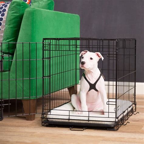 How To Crate Train Your Puppy