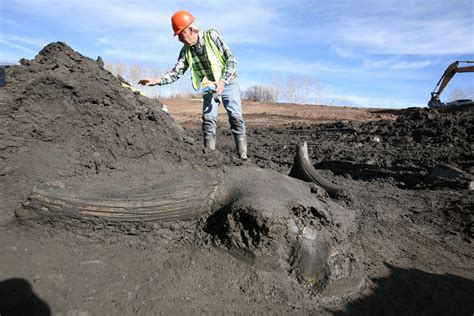 Aspen Journal: Giant Ice Age Bison in Snowmass