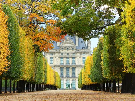 Jardin de Tuileries | Travel Insider