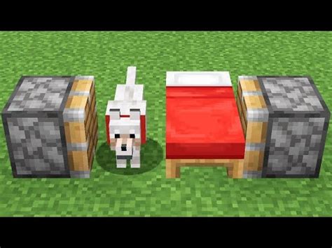 dog + bed in minecraft - YouTube