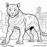 Black Panther Animal Coloring Pages  Free & Printable sketch template