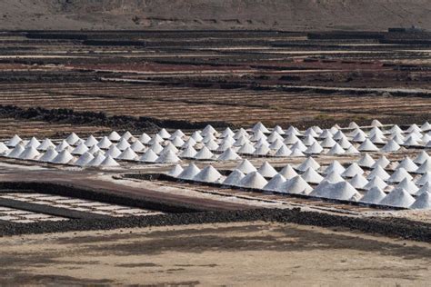 155 Spain Canary Islands Lanzarote Sea Salt Production Stock Photos - Free & Royalty-Free Stock ...