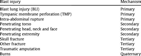 Blast injury classifications for review of epidemiological data ...