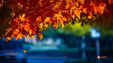 Fall Christian Wallpaper and Screensavers - WallpaperSafari