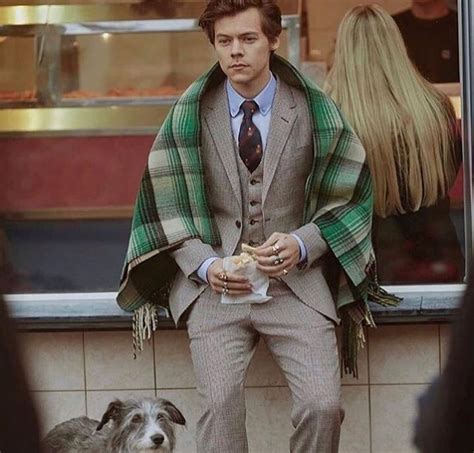 New// Harry for the Gucci Tailoring Campaign Gucci Ad, Gucci 2018, Gucci Campaign, Harry Styles ...