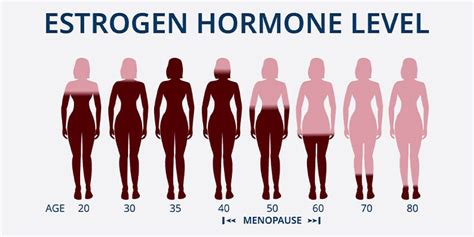 Do You Know What The Ideal Menopause Age Is? Interesting Facts About ...