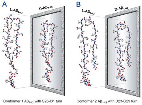 Schematic diagrams representing the all L-and all-D-amino acids Aβ 1-42 ...