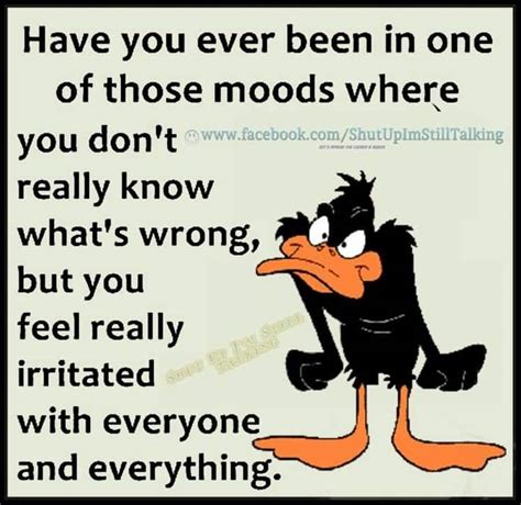 Daffy Duck Quotes Meme Image 13 | QuotesBae