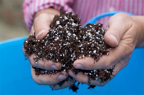 A guide to Perlite: what perlite is and how to use it. | BBC Gardeners World Magazine