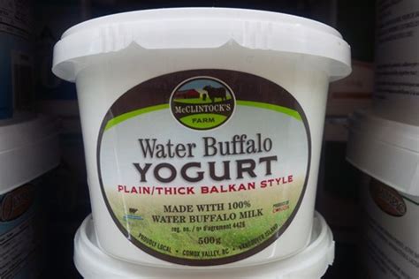 McClintock's Water Buffalo Milk Yogurt