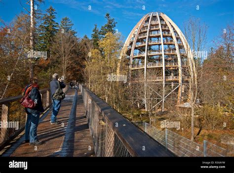 Tree walk bavarian forest national park hi-res stock photography and ...