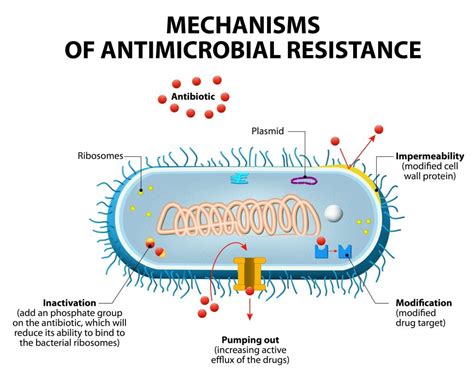 Roche doubles down in Fight against Antibiotic Resistance