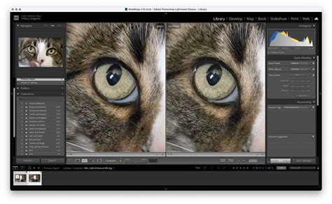 These Lightroom Classic Updates Prove AI Can Really Help Artists