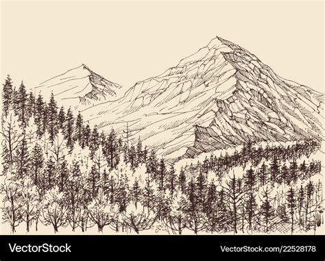 Mountains panorama alpine forest drawing Vector Image