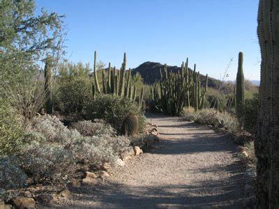 Places and Spaces: Sonoran Desert Museum