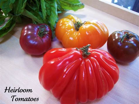 heirloom tomatoes Archives - Proud Italian Cook