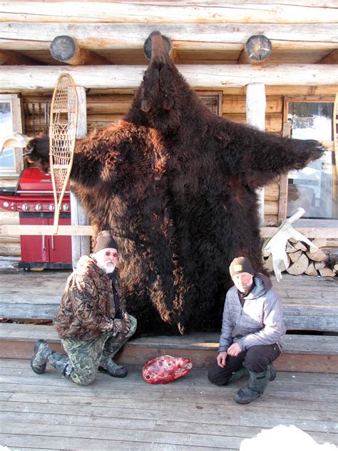 Alaska Bear Hunting Guides - Hidden Alaska Guides and Outfitters