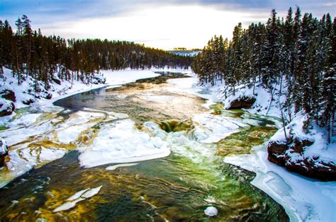 Yellowstone National Park Is Even More Magical In Winter Than Summer