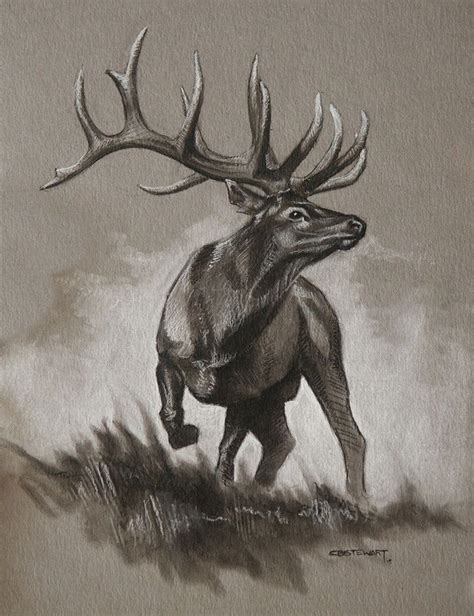 Elk Antlers Drawing at GetDrawings | Free download