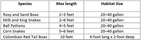 pet snake chart size - Pet Territory