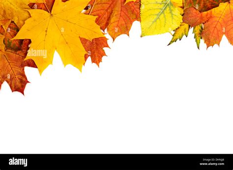 Autumn leaves frame Stock Photo - Alamy