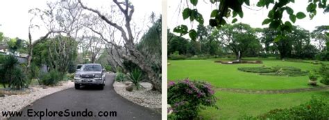 Bogor Botanical Garden | The Best Park for Picnic and Learning Botany