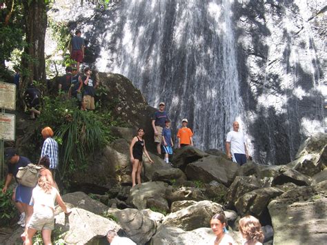 Hiking at El Yunque National Forest in Puerto Rico. ~Lisa K. | El yunque national forest ...
