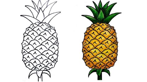 how to draw pineapple step by step (very easy) | Pineapple drawing ...