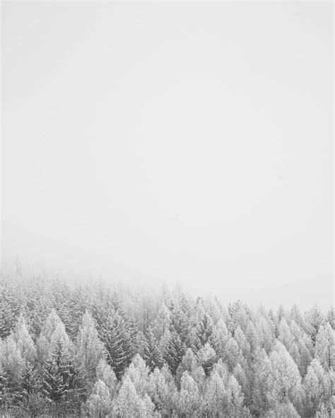 Download A Majestic Winter Wonderland | Wallpapers.com