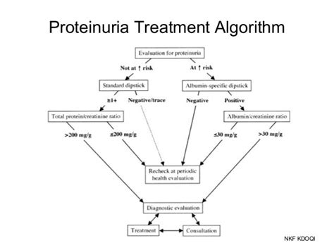 Proteinuria treatment algorithm