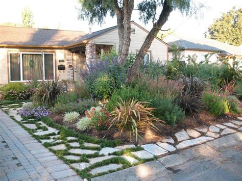 frontyard and backyard landscaping in 2020 | Drought resistant ...