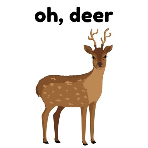 45+ Deer Puns That Are Doe Funny - Box of Puns