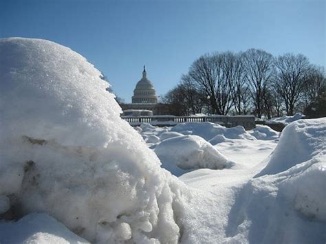 The Scene's snow day movie guide - The Eagle