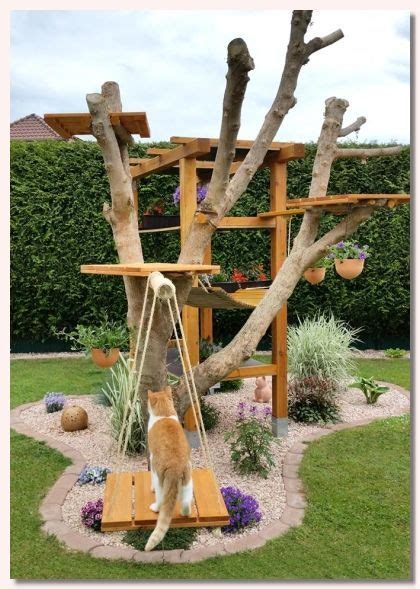 Garten042 | Pet friendly backyard, Outdoor cat tree, Cat garden