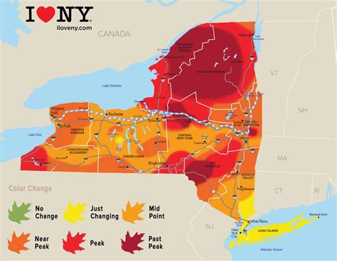 New York state fall foliage report for week of Oct. 17 | Local News | auburnpub.com