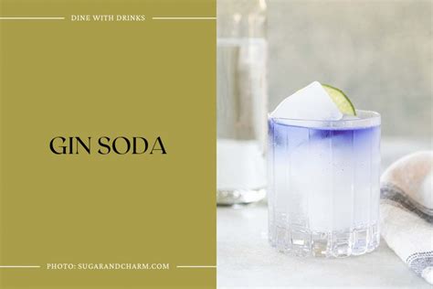 25 Gin and Club Soda Cocktails to Spice Up Your Happy Hour ...