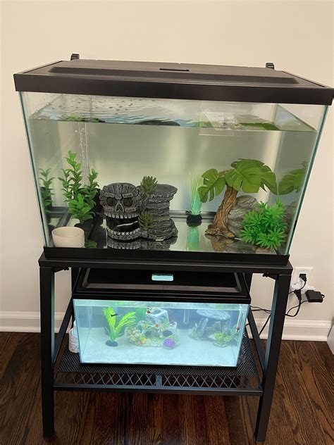 My Axolotl Tank Setup Ideas/ Feedback Appreciated, 51% OFF