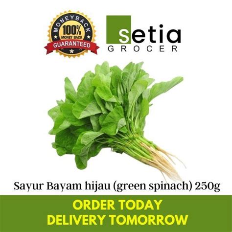 Bayam hijau (green spinach) 250g | Lazada