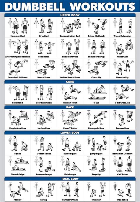 Beginner Printable Dumbbell Workout