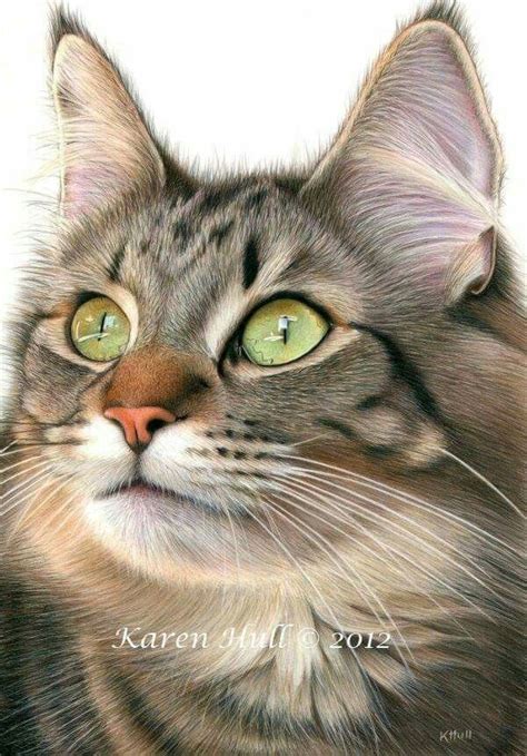 Pin by Wendy Miller French on Cats | Cat art, Gorgeous cats, Colored pencil portrait