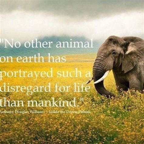 Gandhi Quotes About Animals. QuotesGram